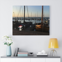 Okapi, Hafen, Volendam